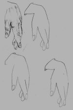 How To Draw Hands 15