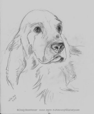 Pencil pet portrait of Irish Setter