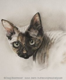 Pencil pet portrait of Henrietta