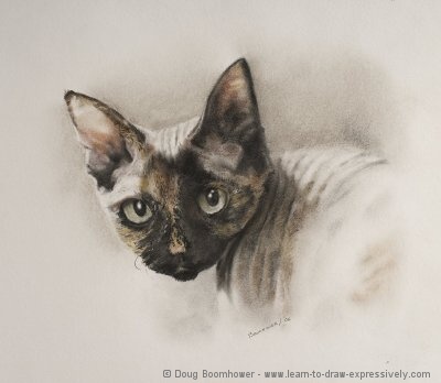 How to Draw a Cat using charcoal and pastel
